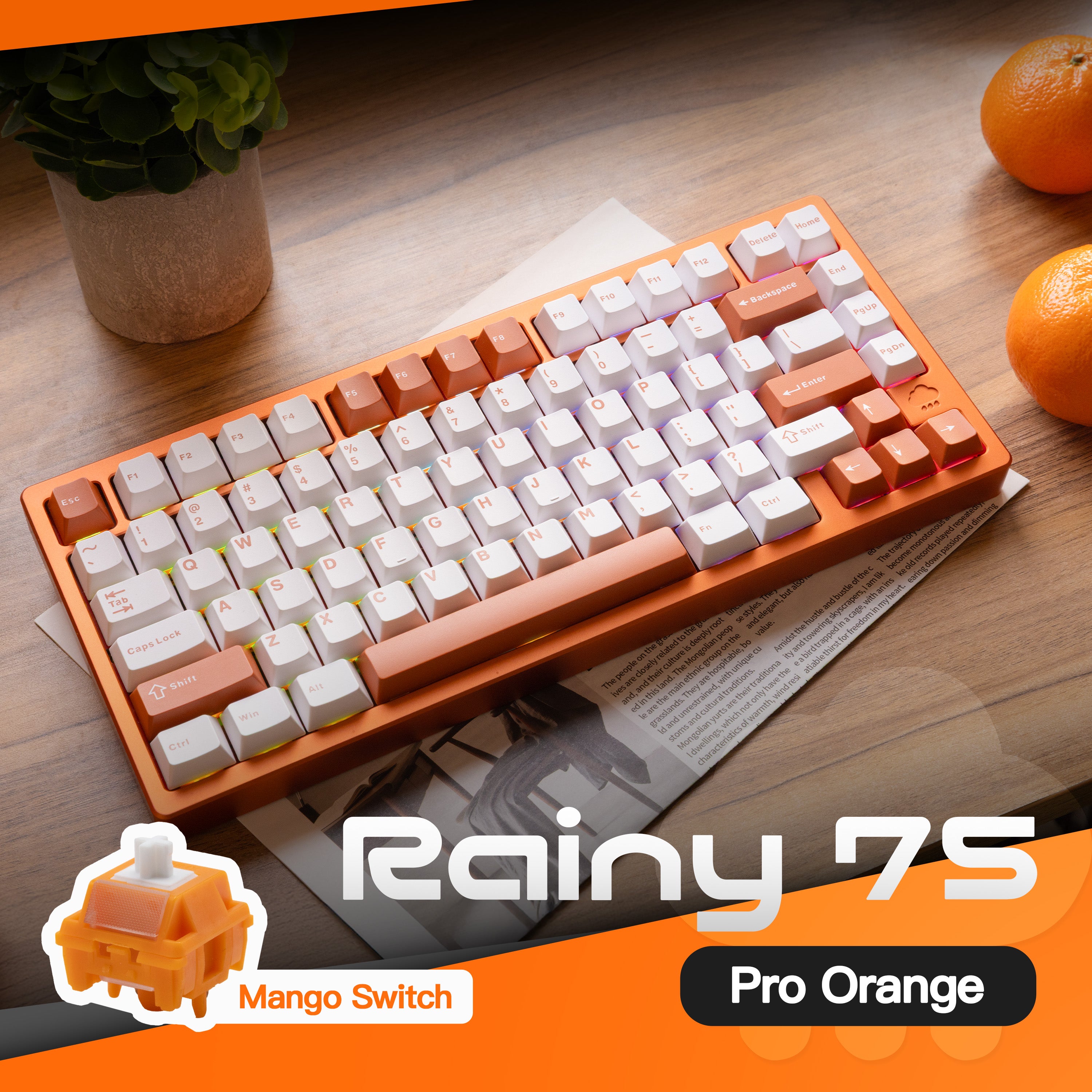 Rainy 75 Pro Limited Orange Edition – WOBKEY