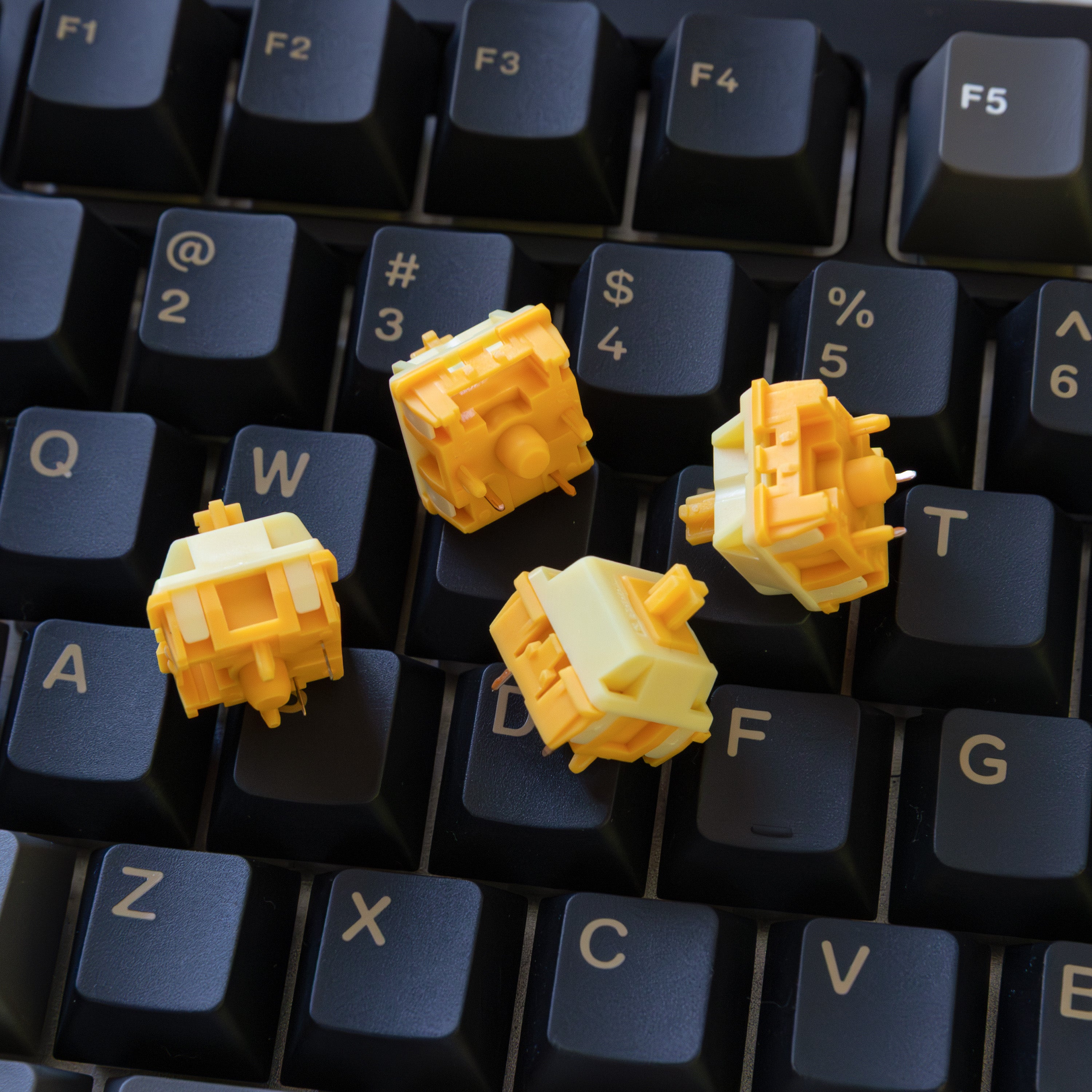 Rainy 75 Pro Black - Silent Mechanical Keyboard – WOBKEY
