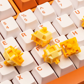 A quiet typing setup built with Wobkey silent linear switches